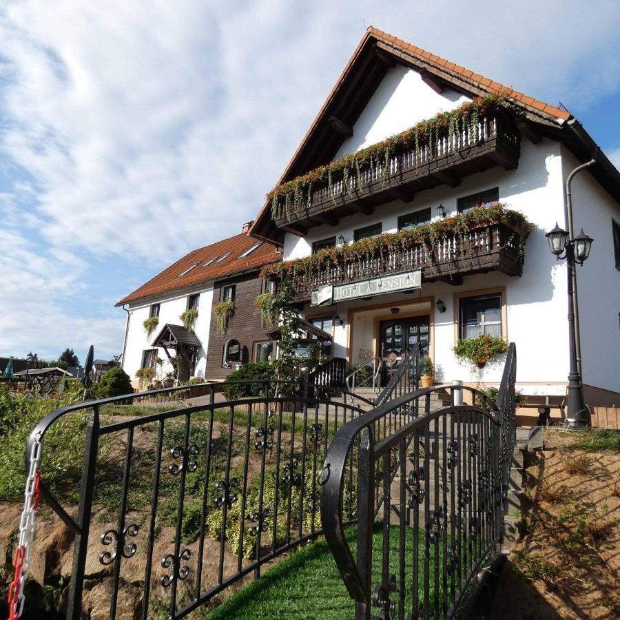 Hotel-Pension Flechsig Hartmannsdorf bei Kirchberg Esterno foto